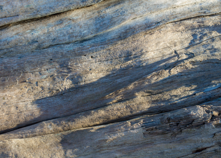 Driftwood at sunset