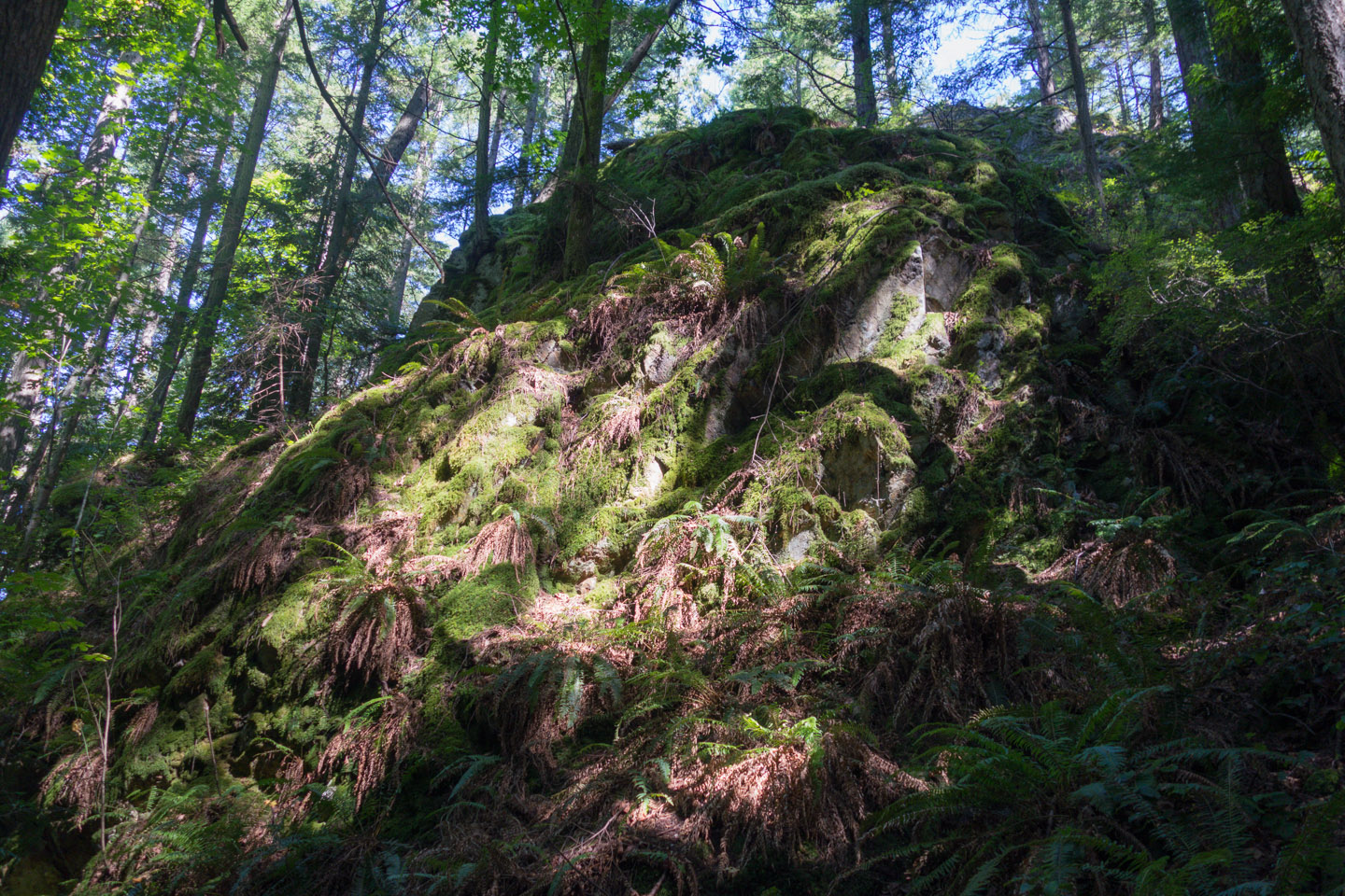 The Sony RX100 II captures Keats Island mountaintop scenery