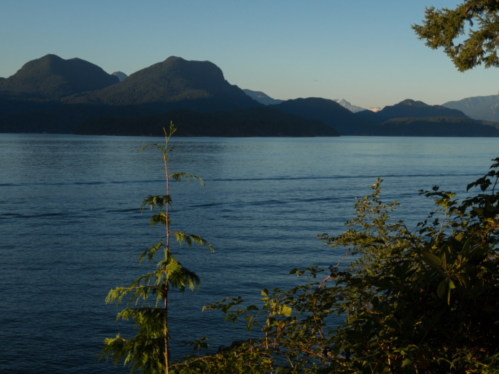 The Sony RX100 captures Howe Sound
