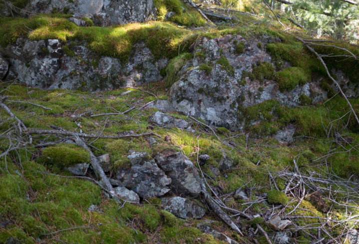 The Sony RX100 II captures Keats Island mountaintop scenery