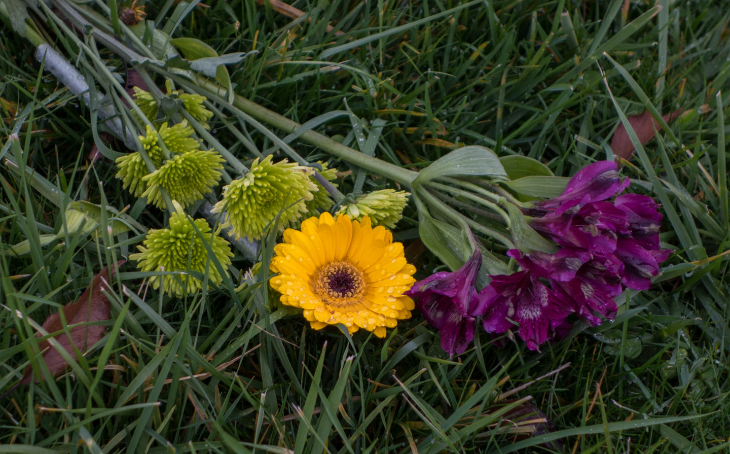 Flowers in Vancouver’s Mountain View cemetary