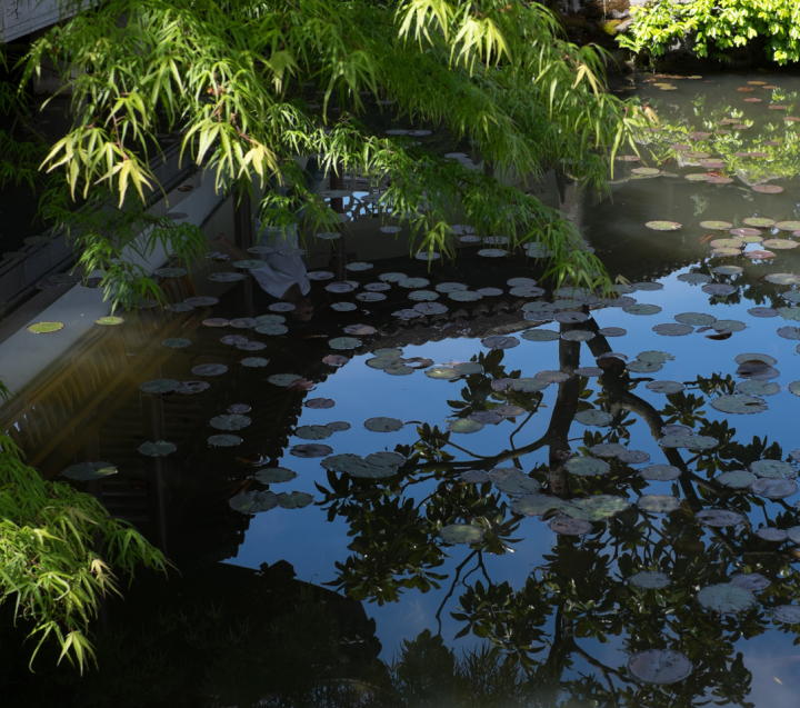 Reflection in a pond at Dr. Sun Yat-Sen Classical Chinese Garden