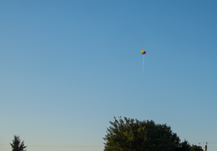 Balloons drift away from the festival.