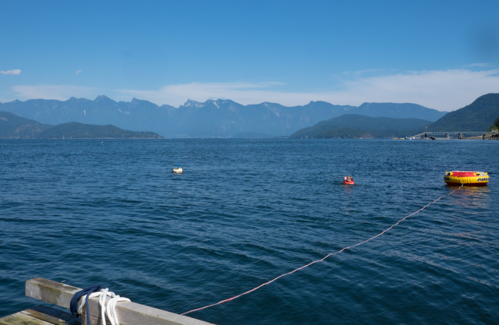 Swimming in Howe Sound