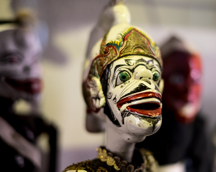 White shiny head, UBC MOA