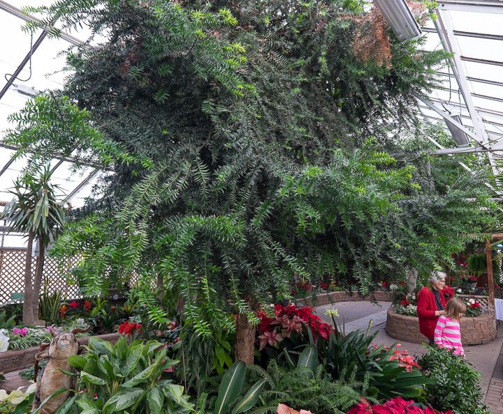In the Regina floral conservatory