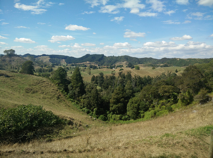 View from Waitomo hilltop