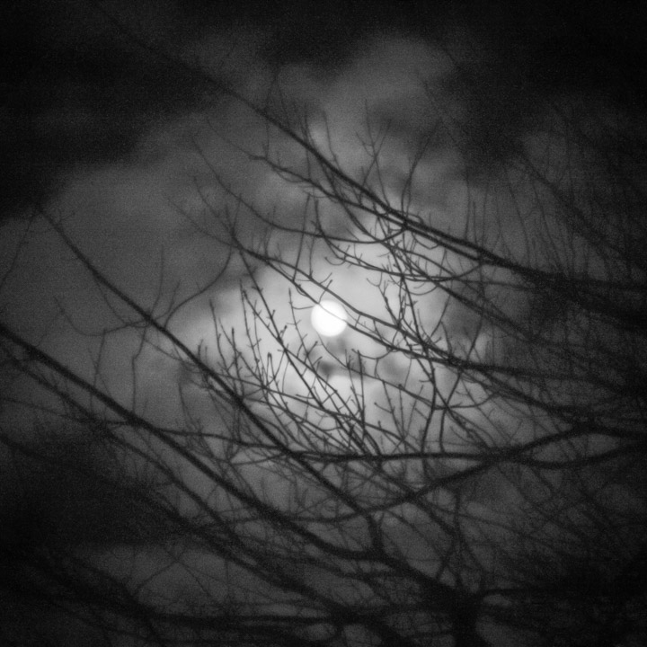 Super-moon through bare branches via Achromat