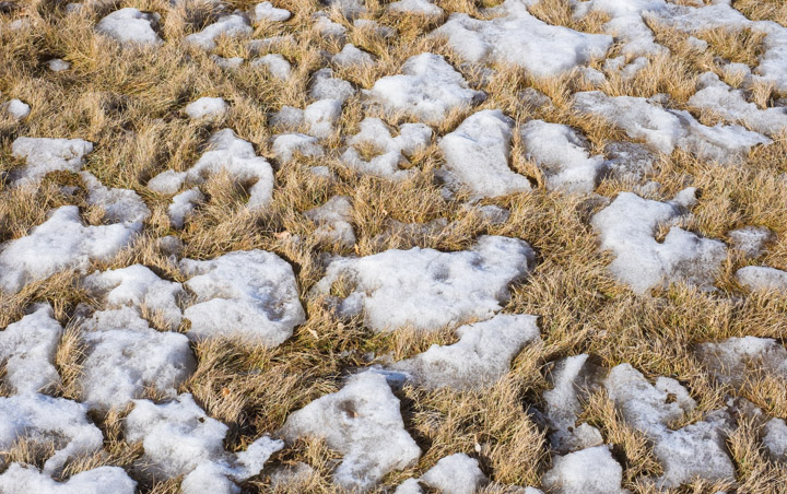 Prairie spring - retreating snow
