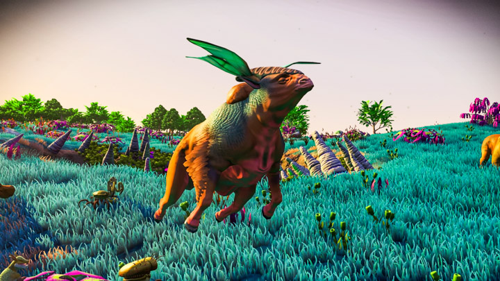 No Man’s Sky; wings on the head