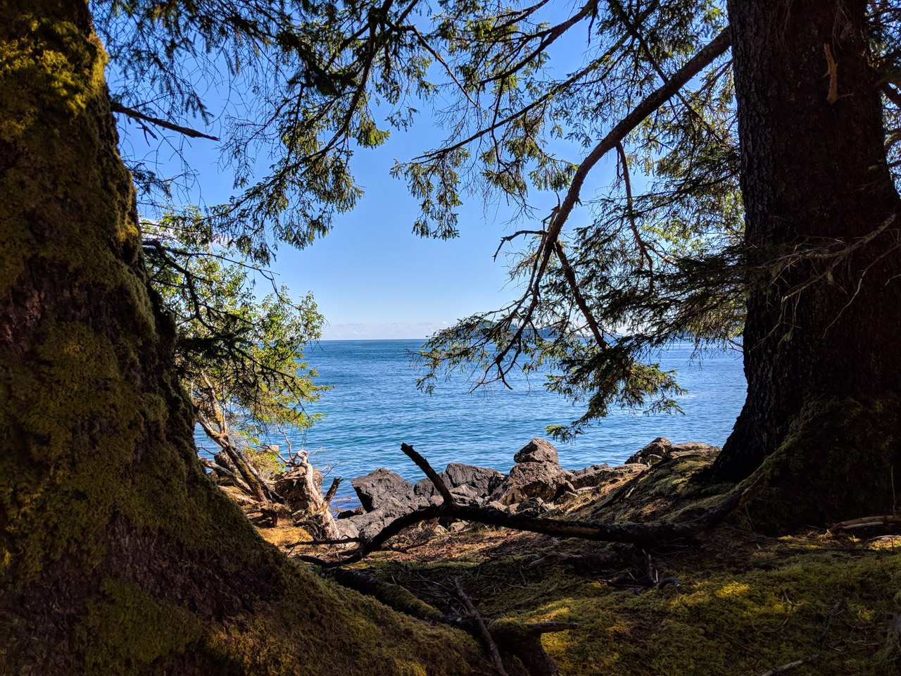 Trees and beach at Tanu