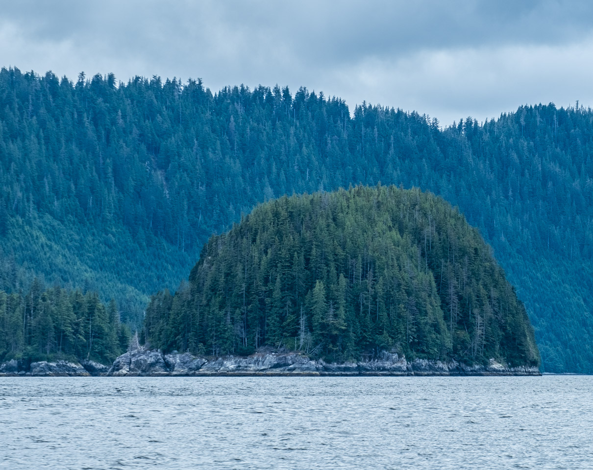 Small wooded island in Gwaii Haanas