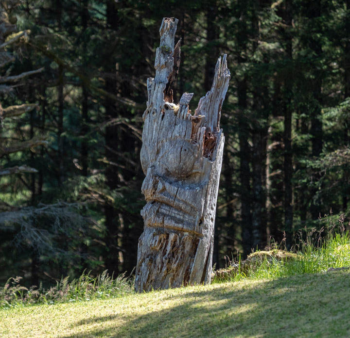 Grouchy totem at SG̱ang Gwaay