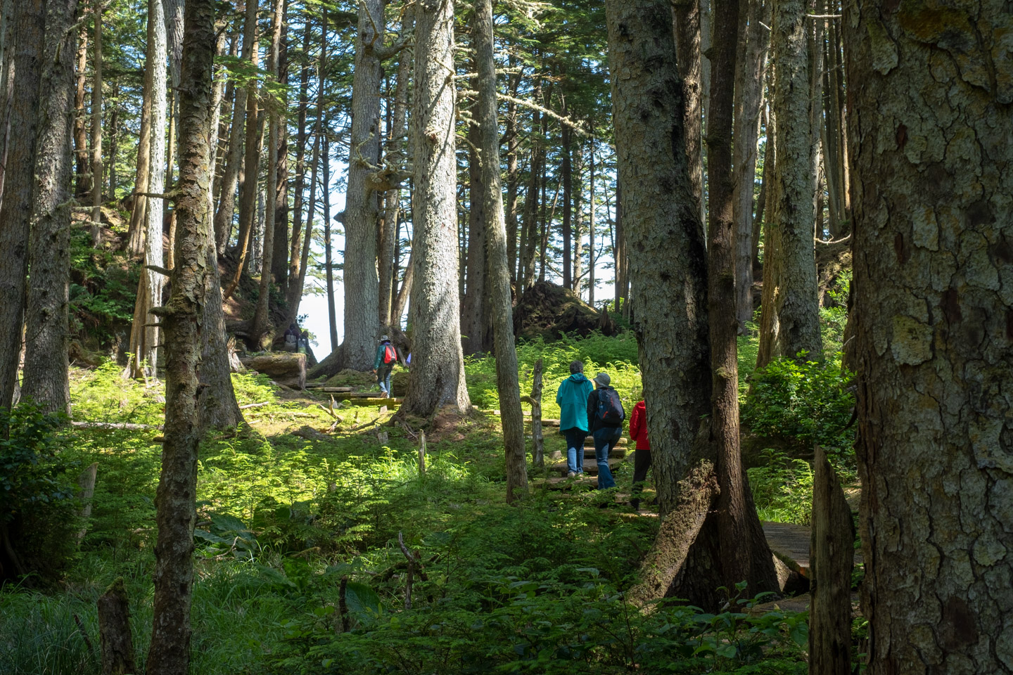 Walking across SG̱ang Gwaay in Gwaii Haanas