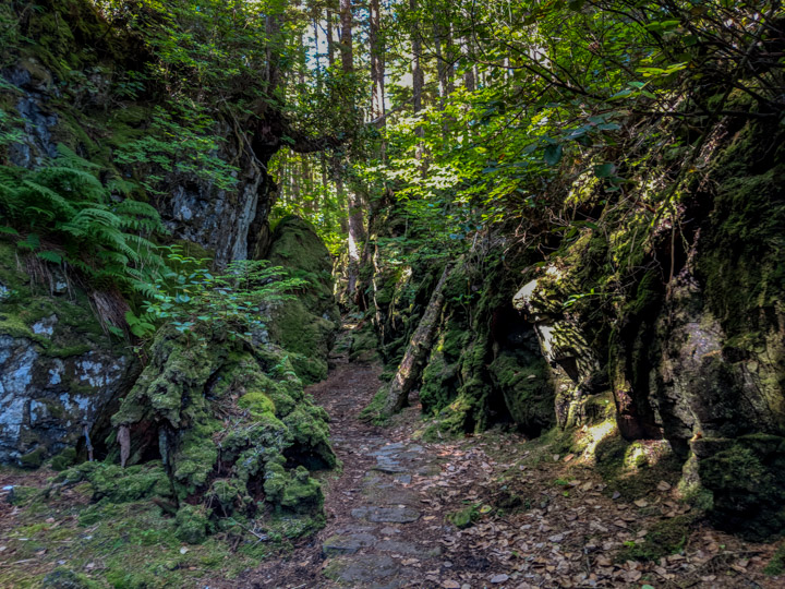 Path to the SG̱ang Gwaay village site in Gwaii Haaans