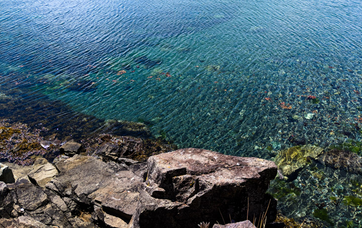 Gwaii Haanas seawater, very clear