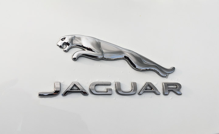 Leaping Jaguar logo