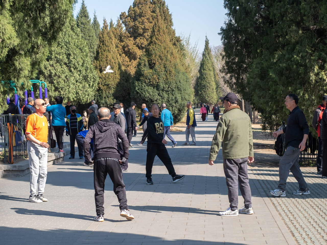 Jianzi players in the Temple of Heaven