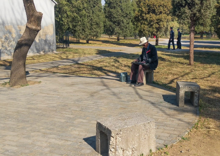 Swinging guitar in the Temple of Heaven park, Beijing