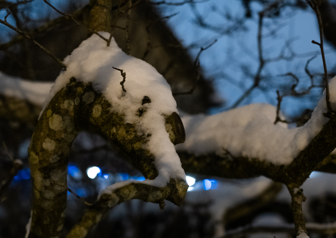 January snow, Vancouver