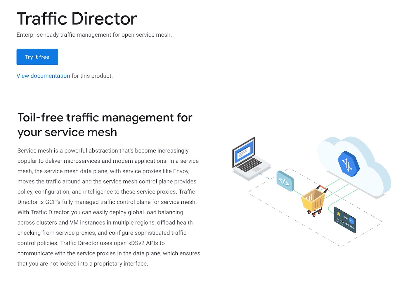 Google Traffic Director