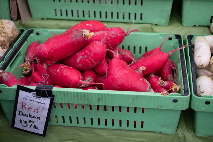 Red Daikon for sale at the Winter Market