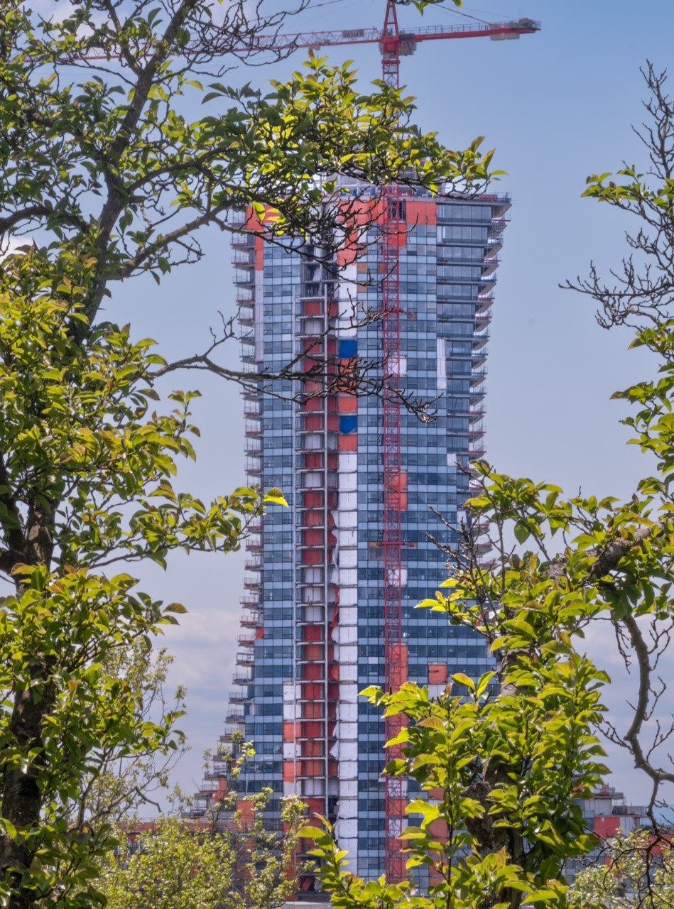 Picture of an under-construction high-rise behind leaves, improved
