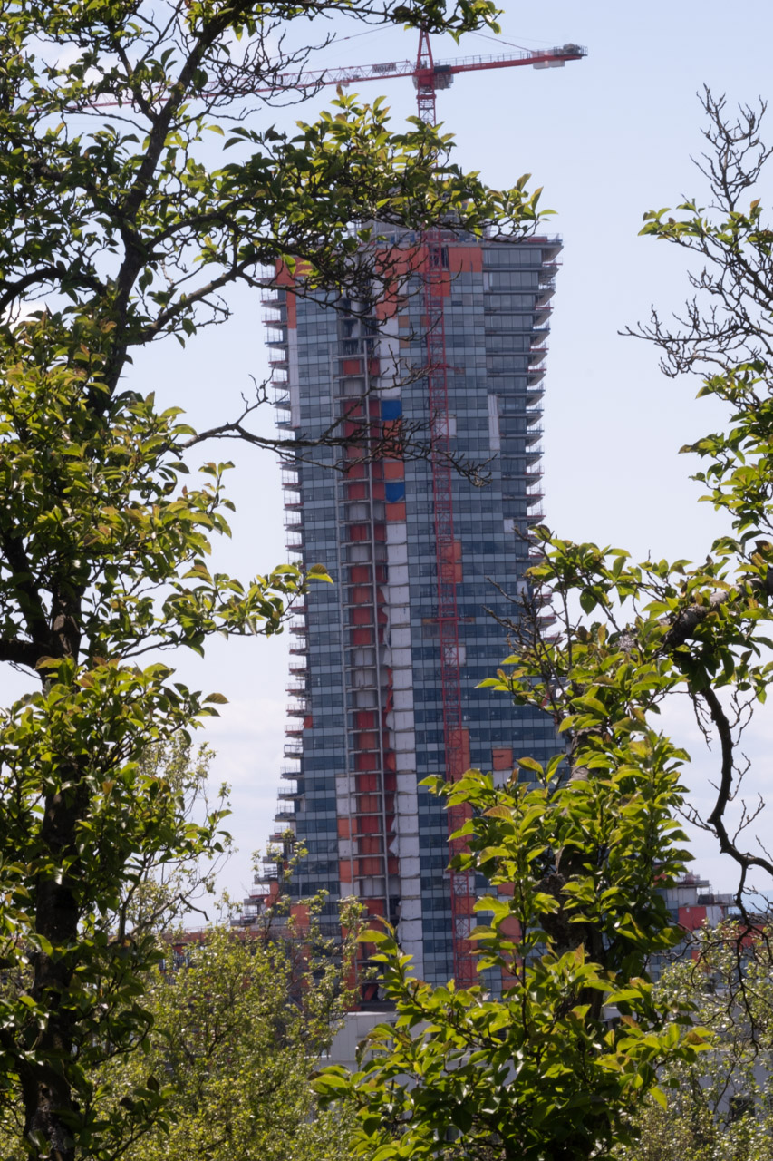 Picture of an under-construction high-rise behind leaves