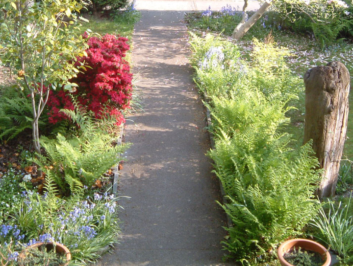 The front walk, with many flowers