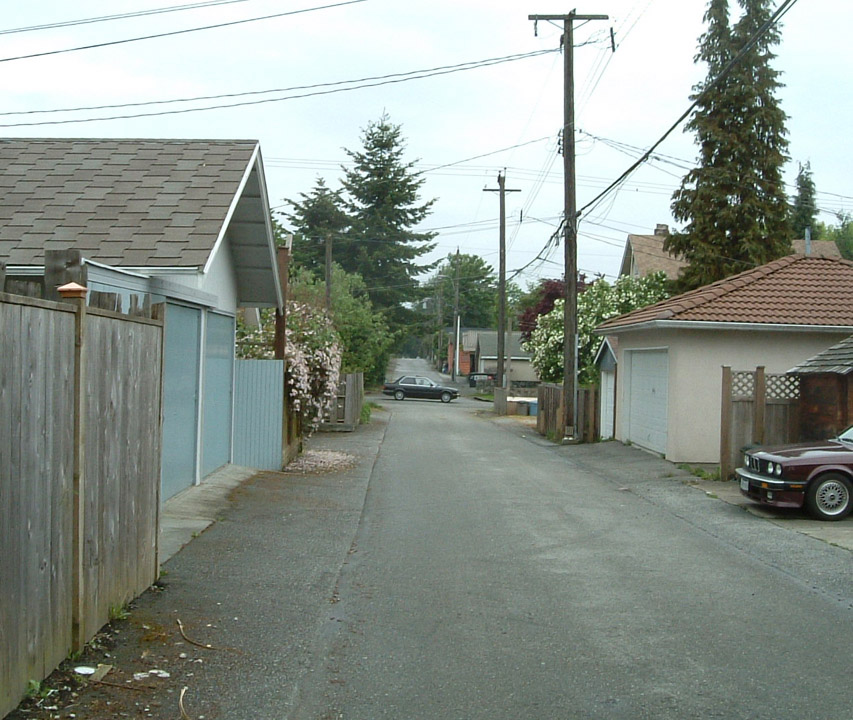 My back lane, looking West