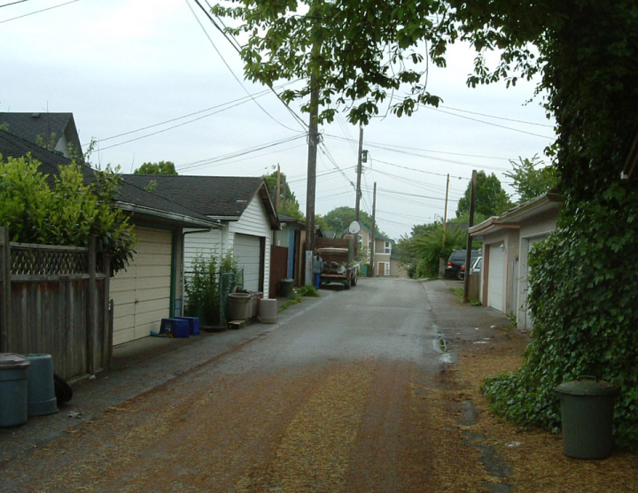 My back lane, looking East