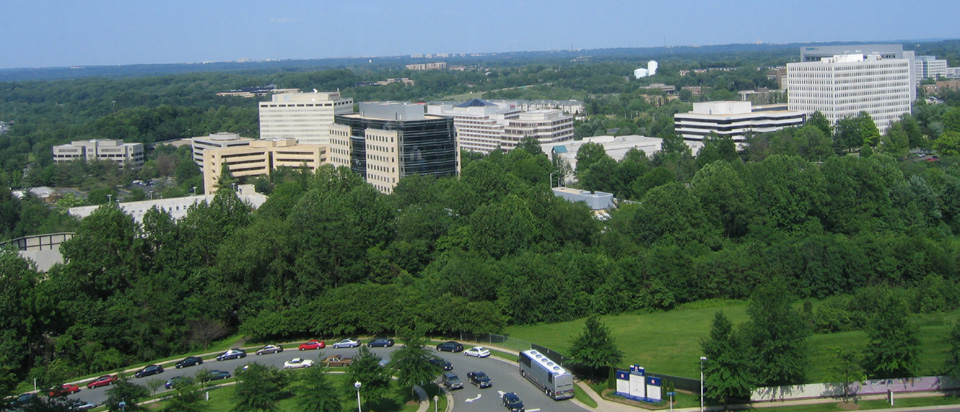 A view of Tyson’s Corner