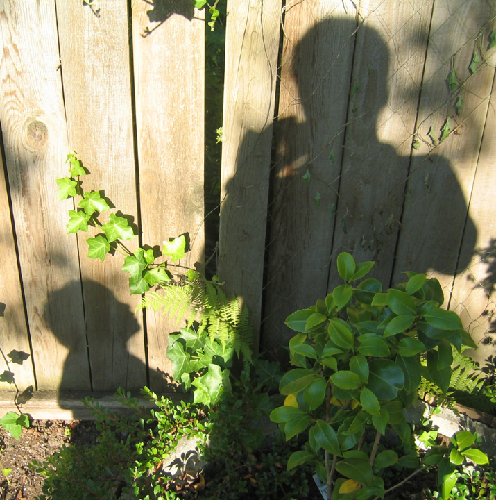 Father and child shadowed, 2