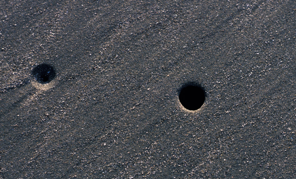 Close-up of Pacific Rim sand