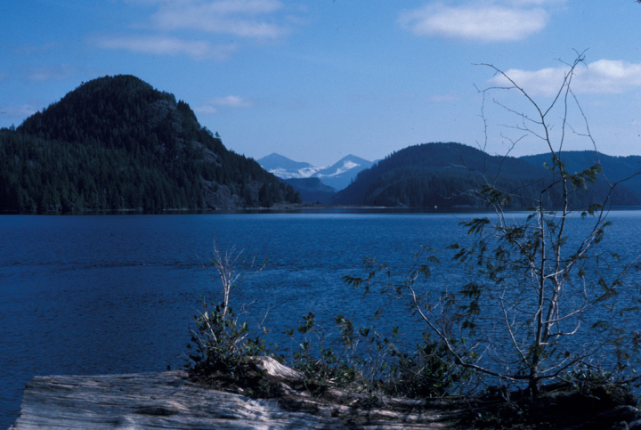 Grice bay, in Pacific Rim National Park