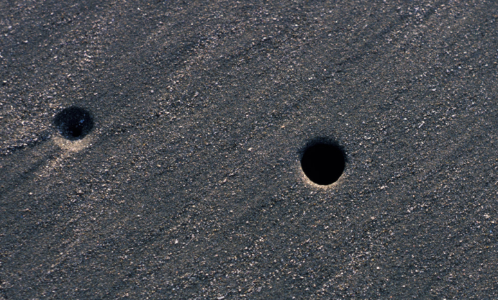 Close-up of Pacific Rim sand