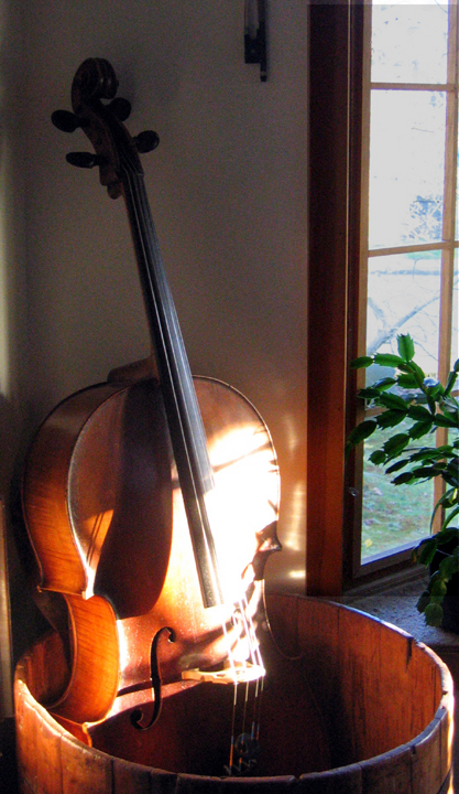 Still life with cello