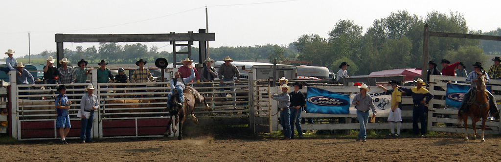 Cowboy on bucking bronco