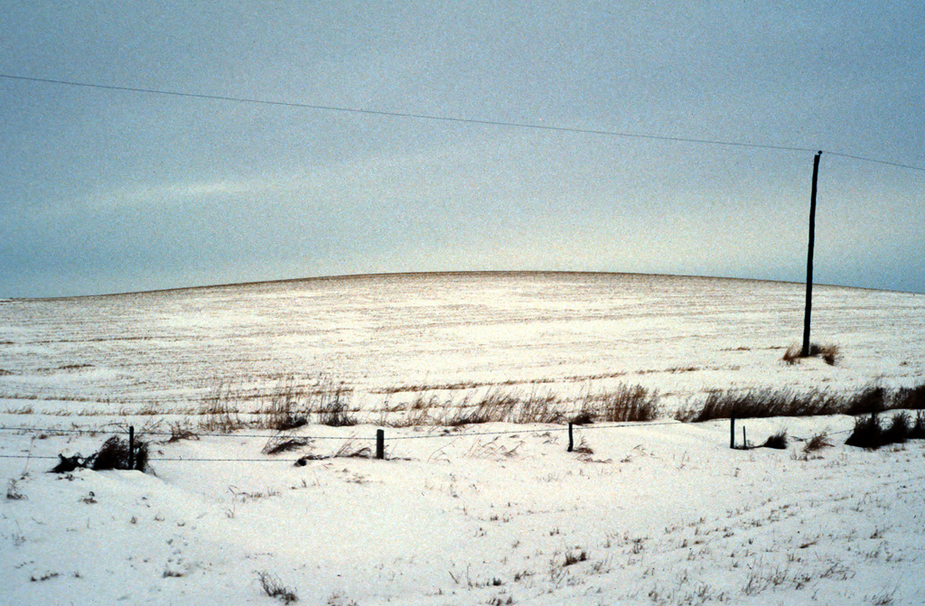 Snowy hill in Cypress Hills Interprovincial Park