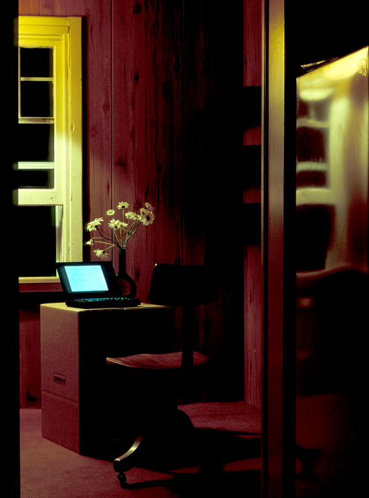 Still life with daisies and laptop