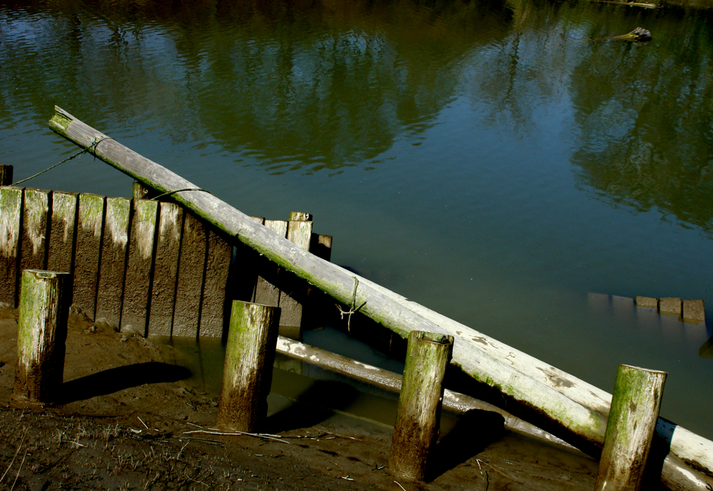 Pilings in Steveston, BC