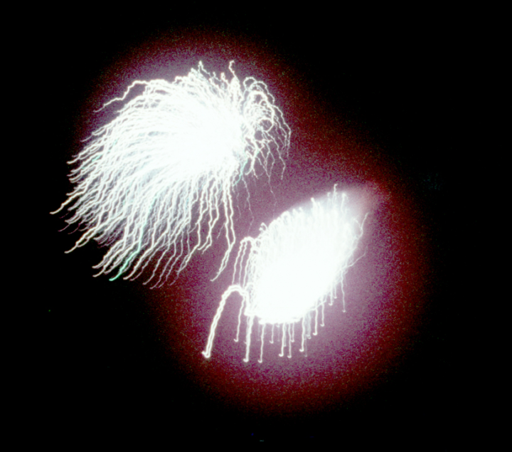 Fireworks in Corvallis, Oregon, 1957