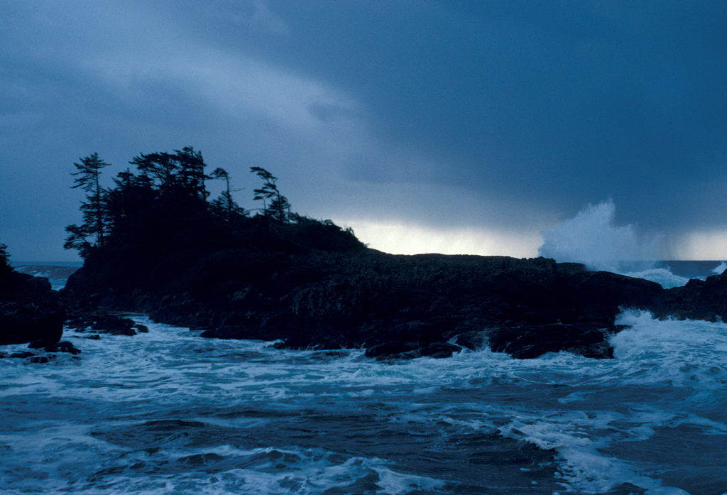 Pacific Rim National Park seascape