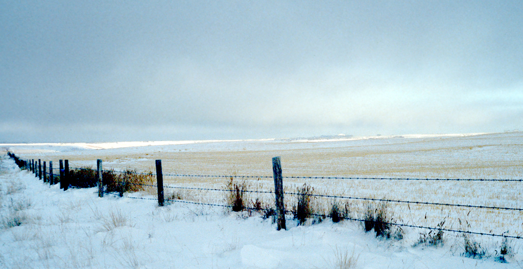 Prairie Fence in Cypress Hills Interprovincial Park