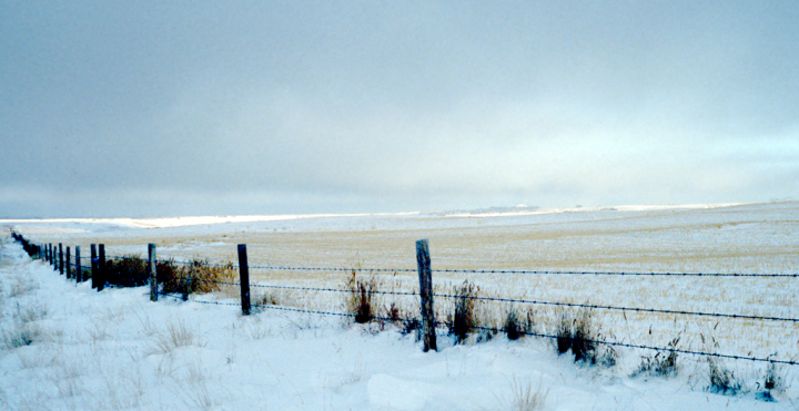 Prairie Fence in Cypress Hills Interprovincial Park Prairie Fence in Cypress Hills Interprovincial Park