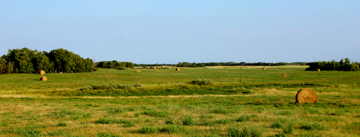 August hay bales in Saskatchewan