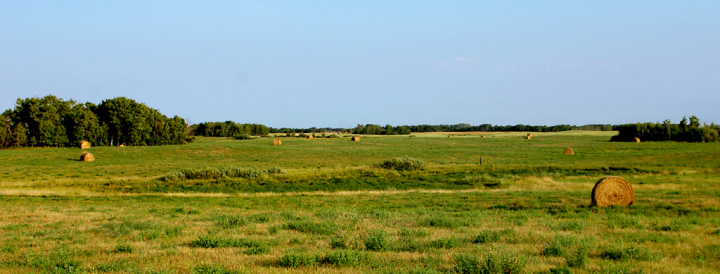 August hay bales in Saskatchewan August hay bales in Saskatchewan