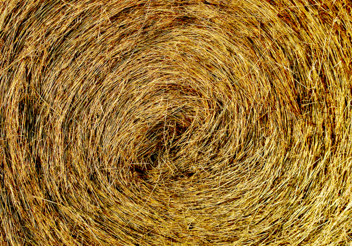 Close-up of Saskatchewan hay bale