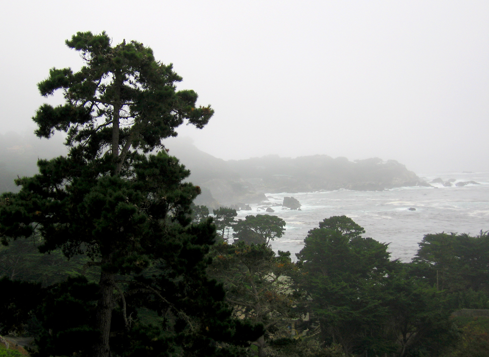 California coastline near Carmel