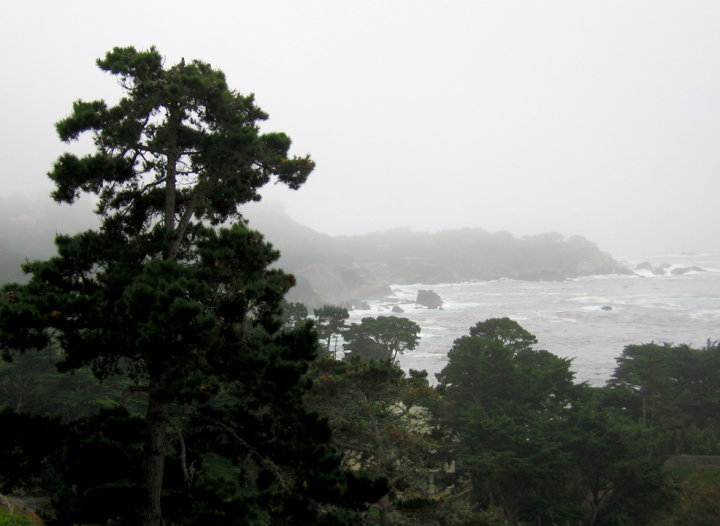 California coastline near Carmel California coastline near Carmel